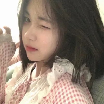 女王鲨封面